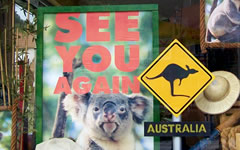 Sponsoring TV Moeglingen